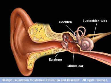 Blood Behind Eardrum